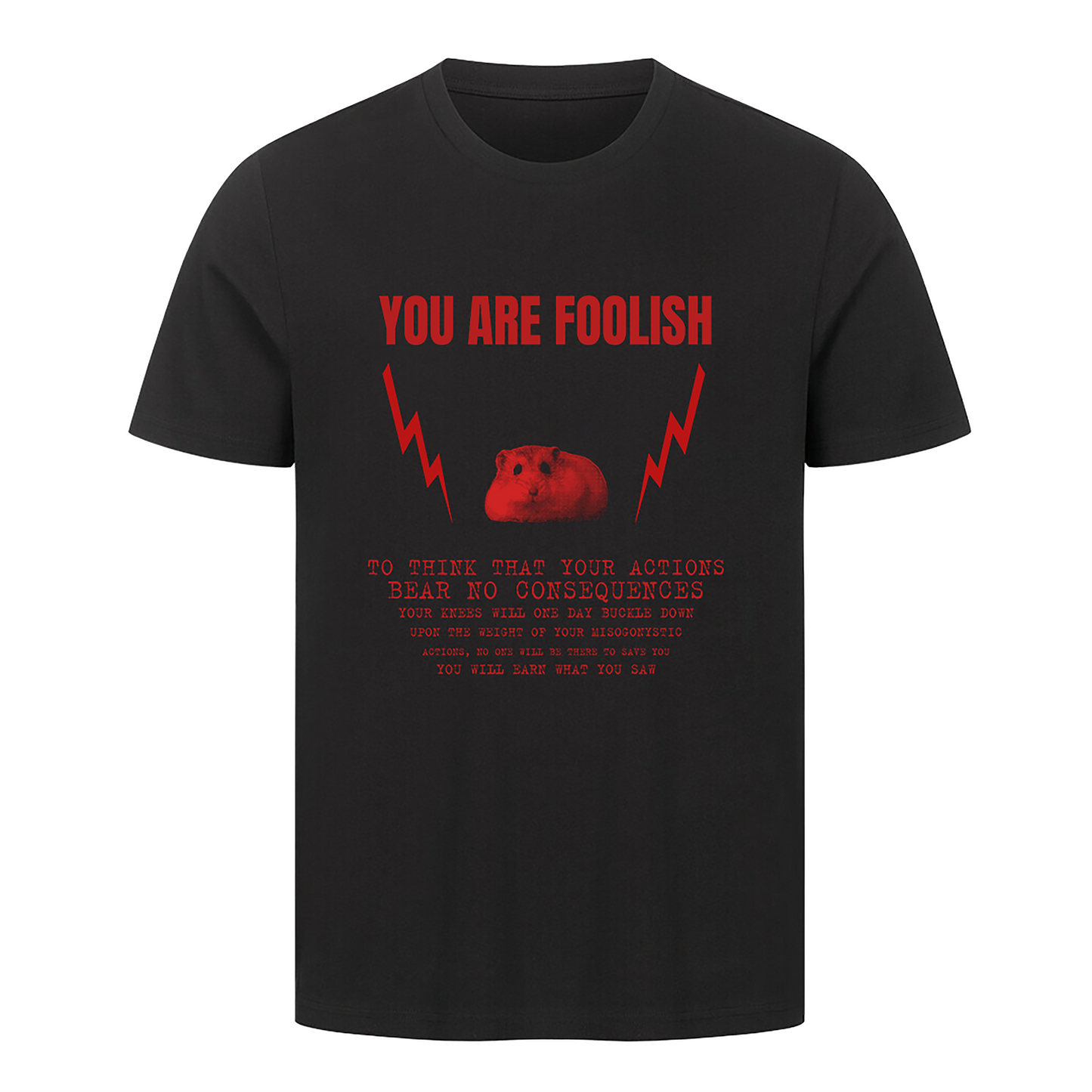 "you are foolish"  T-Shirt - Unisex